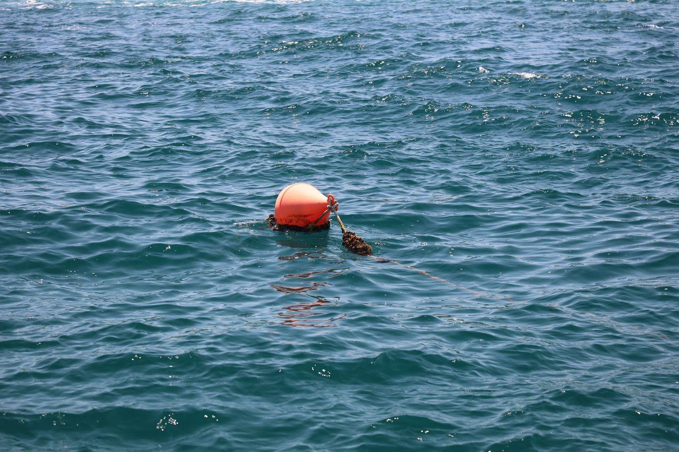 A bright orange monitoring buoy floating in clear blue ocean water